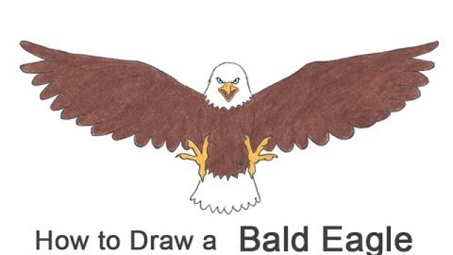 How to Draw a Bald Eagle (Cartoon)