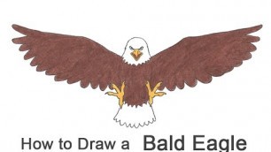 How to Draw a Bald Eagle (Cartoon)
