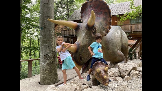 AMI KIDS LA DINO PARK