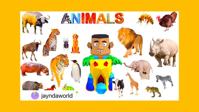 Learn Animals and  Animal Sounds| Animals and Animal sounds for kids, Toddlers and Babies in English