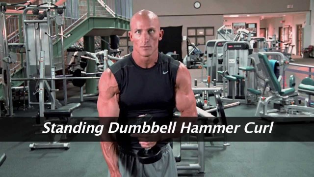 'Standing Dumbbell Hammer Curl'
