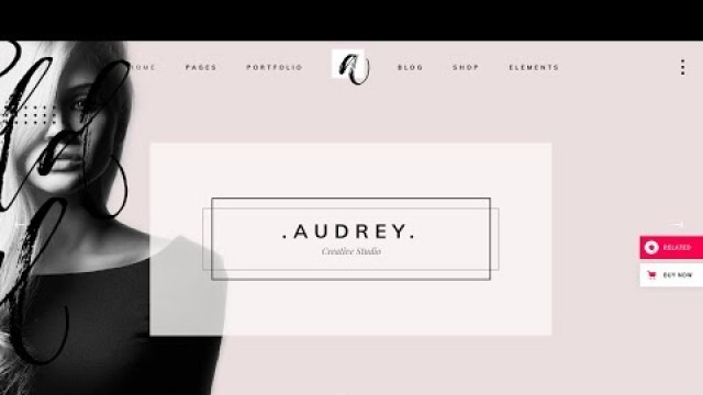 'Audrey WordPress Theme | Charming Fashion Theme | Fashion Portfolio Website'