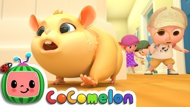 'Lost Hamster | CoComelon Nursery Rhymes & Kids Songs'