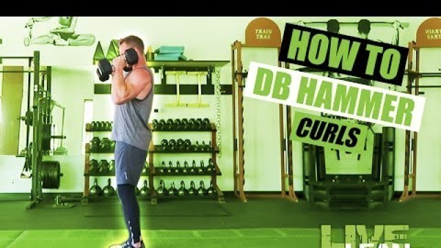 'How To Do STANDING DUMBBELL HAMMER CURLS | Exercise Demonstration Video and Guide'