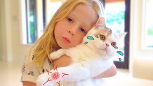 Stacy and the best cat stories for kids