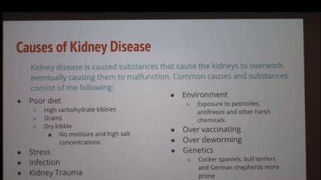 'Natural Ways to Treat Kidney Disease in Dogs'