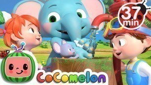 'Wash Your Hands Song + More Nursery Rhymes & Kids Songs - CoComelon'