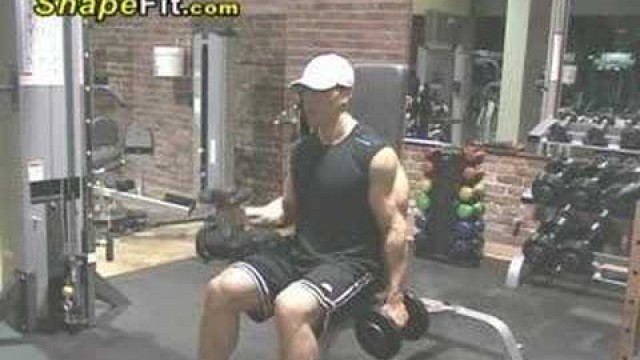 'Biceps Exercises - Seated Dumbbell Hammer Alternating Curls'