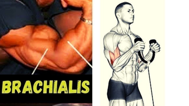 'BRACHIALIS WORKOUT / entrainement spécial épaisseur des bras'