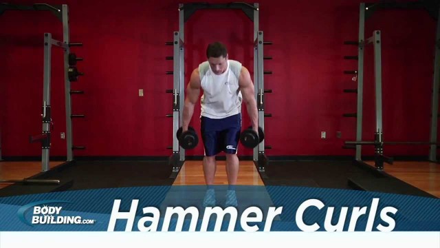 'Hammer Curl - Biceps Exercise - Bodybuilding.com'