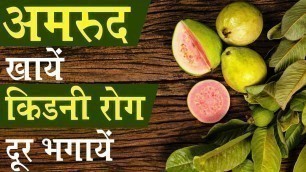 'अमरुद खाओ किडनी रोग दूर भगाओ  | How is Guava for Kidneys? | Kidney Treatment without Dialysis'