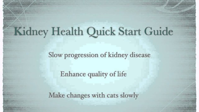 'Dog and Cat Kidney Health Starter Kit Quick Quide'