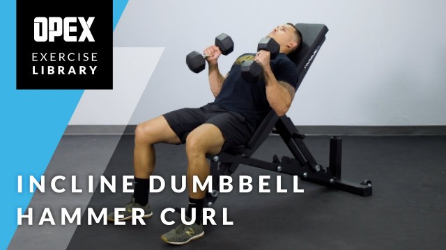 'Incline Dumbbell Hammer Curl - OPEX Exercise Library'