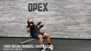 'High Incline Dumbbell Hammer Curl'