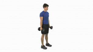 'How to do a Dumbbell Hammer Curl'