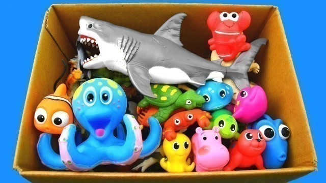 'Learn Wild Zoo Animal Toys For Kids Learn Colors with Animal Names'