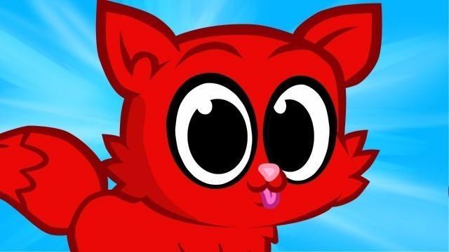 Cute Cat Morphle! Animal Animations For Kids!