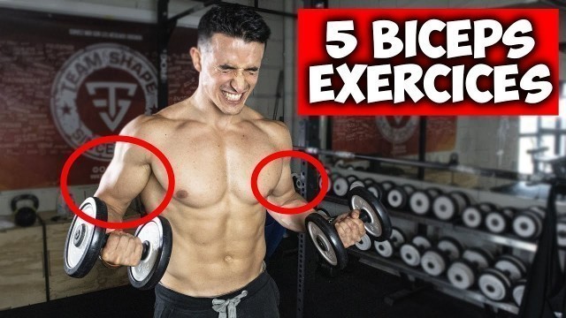 'Des bras plus gros en 30jours ! (5 exercices biceps)'