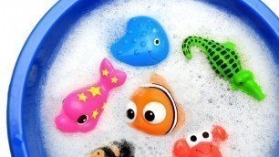 'Learn Sea Animals in Pool for Kids, Shark, Octopus, Whale, Dolphin, Toys'