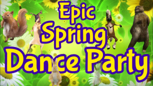 'Epic Spring Dance Party - Fitness Activity // Freeze Dance'
