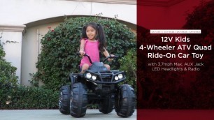 SKY4937 SKY4938 SKY4939 SKY4940 12V Kids 4-Wheeler ATV Quad Ride-On Car Toy