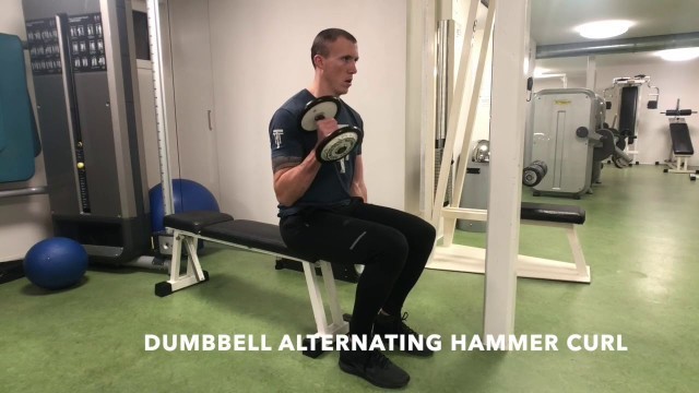 'Dumbbell Alternating Hammer Curl - Upside Strength Exercise Library'