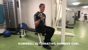 'Dumbbell Alternating Hammer Curl - Upside Strength Exercise Library'
