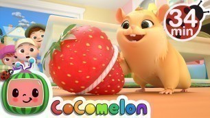 Lost Hamster + More Nursery Rhymes & Kids Songs - CoComelon