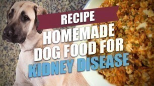 'Homemade Dog Food for Kidney Disease Recipe (Simple and Cheap)'