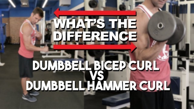 'Hammer Curl vs Bicep Curl - What\'s The Difference?'