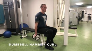 'Dumbbell Hammer Curl - Upside Strength Exercise Library'