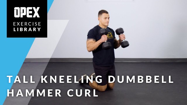 'Tall Kneeling Dumbbell Hammer Curl - OPEX Exercise Library'