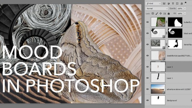 'How to Create a Mood Board in Photoshop'