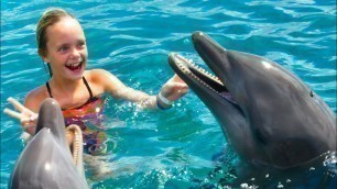 'We Play with Dolphins on a Tropical Island! Kids Fun TV'