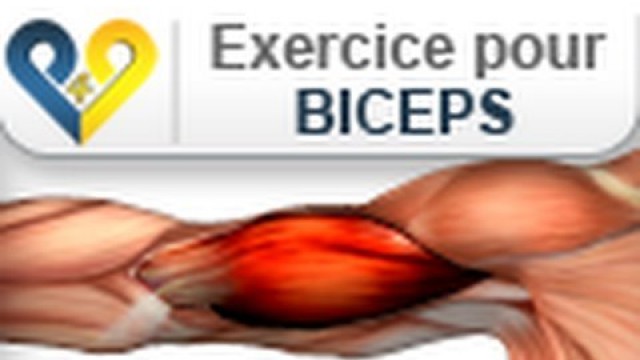 'Musculation biceps: avant bras debout'