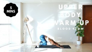 'Upper Body Warm Up // 5 MIN - Modifications included!'