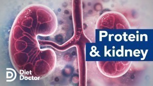 'Protein and kidney health'