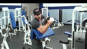 'Dumbbell Hammer Curls On The Preacher Curl Bench'