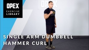 'Single Arm Dumbbell Hammer Curl - OPEX Exercise Library'