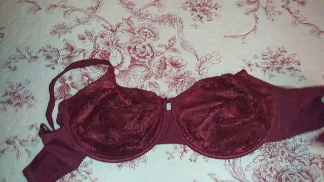 'Dragon Fit Plus Size Lace Bras'