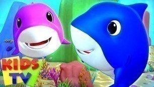 'Laughing Shark Song | Baby Shark Family | Nursery Rhymes & Songs for Children - Kids Tv.'