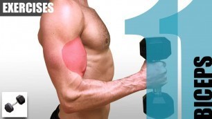 '11 BICEPS EXERCISES YOU CAN DO WITH ONLY ONE DUMBBELL'