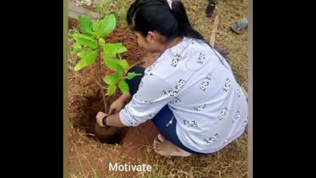 'motivate kids to plant trees'