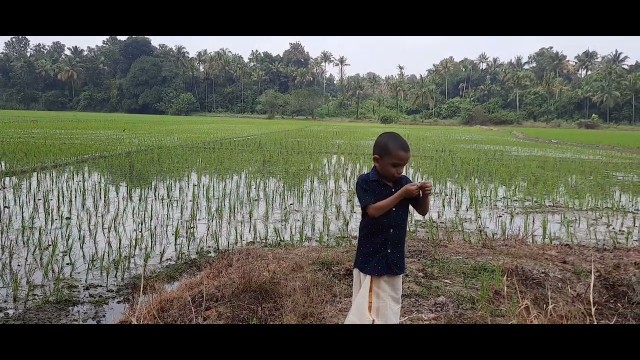 'keralapiravi fashion show kids'