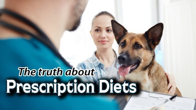 'Prescription Diets for Kidney Disease in Dogs & Cats'