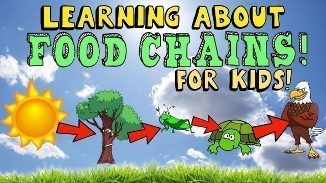 'Learning About Food Chain for Kids with Pictures and Diagram'