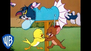 'Tom & Jerry |  B-b-b-birds! | Classic Cartoon Compilation | WB Kids'
