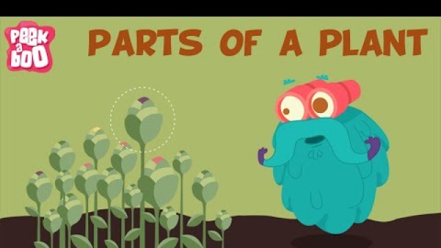 'Parts Of A Plant | The Dr. Binocs Show | Learn Videos For Kids'