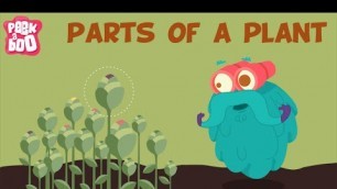 'Parts Of A Plant | The Dr. Binocs Show | Learn Videos For Kids'