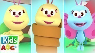 The Yellow Caterpillar | Baby Music And Videos | Nursery Rhymes Songs for Children - Kids Abc Tv